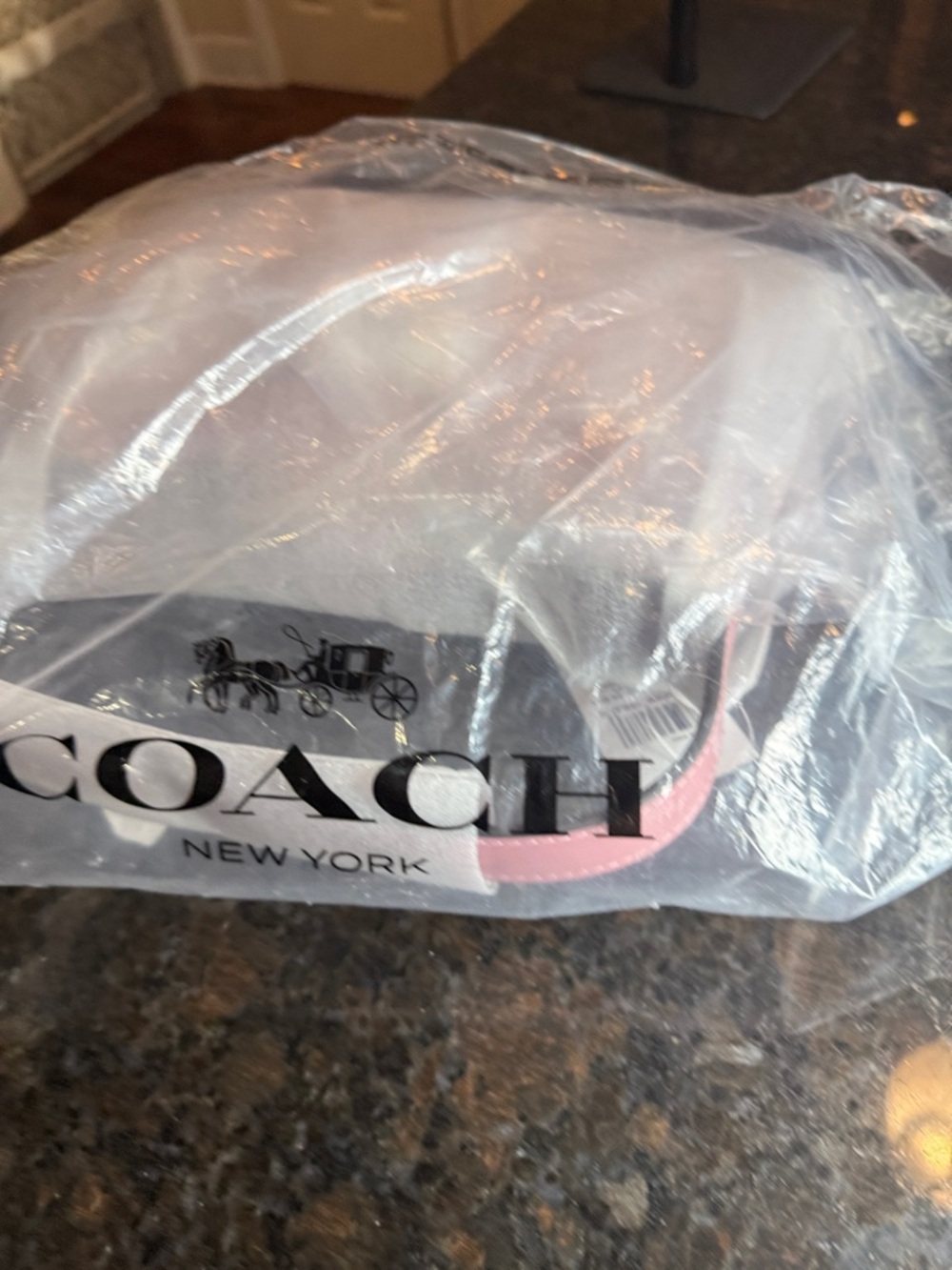 Coach Eliza Rose Pink Leather Shoulder Bag with Silver-Tone Clasp - Picture 15 of 15